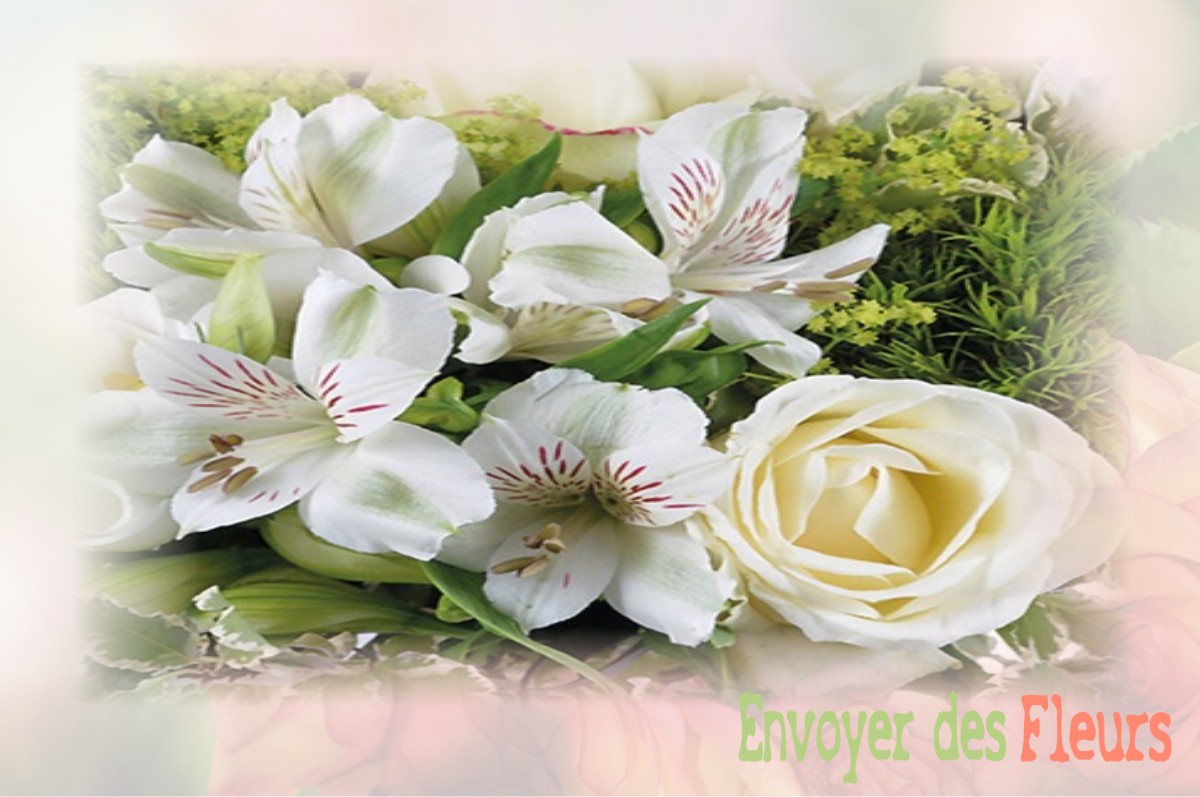 envoyer des fleurs à à SAINT-LAURENT-DU-VERDON